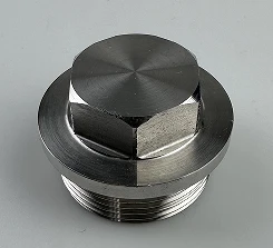 স্টেইনলেস স্টিল 304 DIN910 G1-1/4